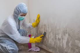 Best Asbestos and Lead Testing During Mold Inspection  in Spartanburg, SC